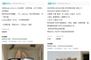 梦见死去闲鱼：LABUBU搜索量环比上涨1000%，供不应求下现租赁新形式