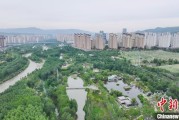 梦见死去西宁市举办六五环境日主题宣传活动