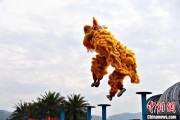 梦见死去（文化中国行）壮乡狮舞闯南洋：脚踏“云桩” 饮誉海内外
